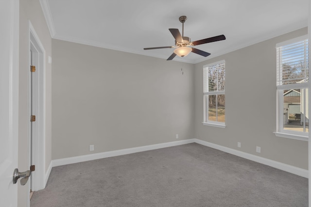 3115 Patcham Dr # 201, Nolensville, TN 37135 - carpeted spare room featuring ceiling fan, ornamental molding, and baseboards