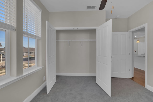 3115 Patcham Dr # 201, Nolensville, TN 37135 - view of closet