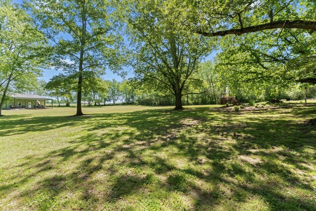 1408 Baker Ln, Lawrenceburg, TN 38464 - view of grassy yard