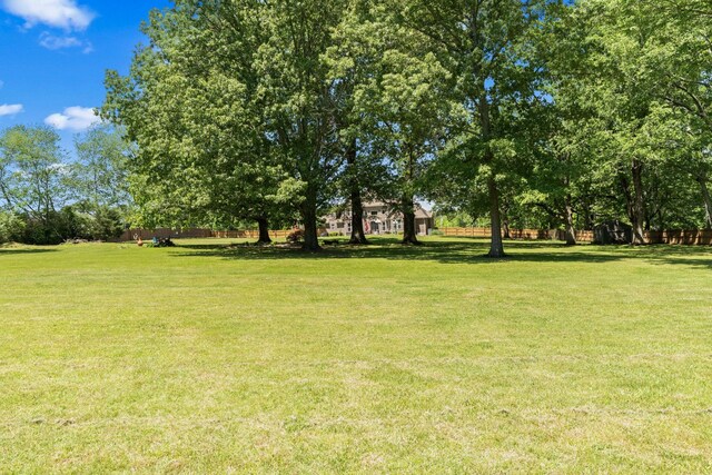 1408 Baker Ln, Lawrenceburg, TN 38464 - view of green lawn