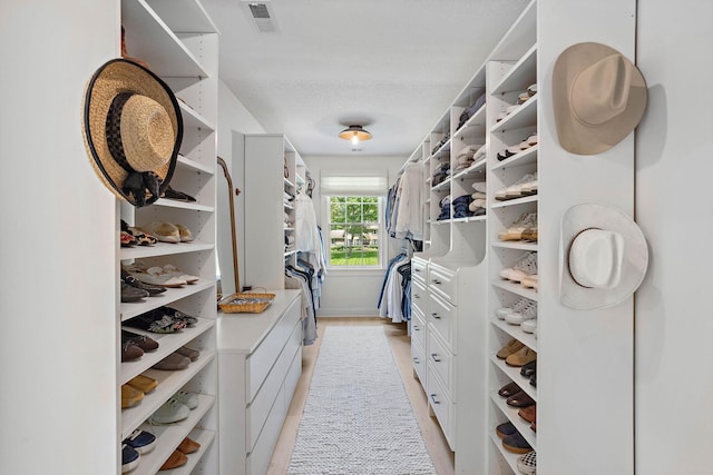 2974 W Mor Dr, Clarksville, TN 37043 - view of walk in closet