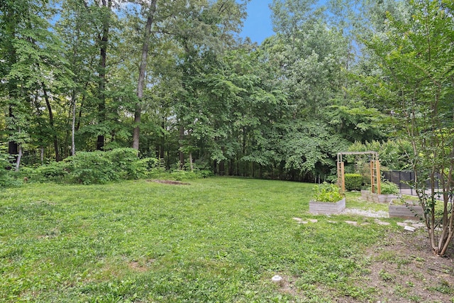 2974 W Mor Dr, Clarksville, TN 37043 - view of grassy yard featuring a garden