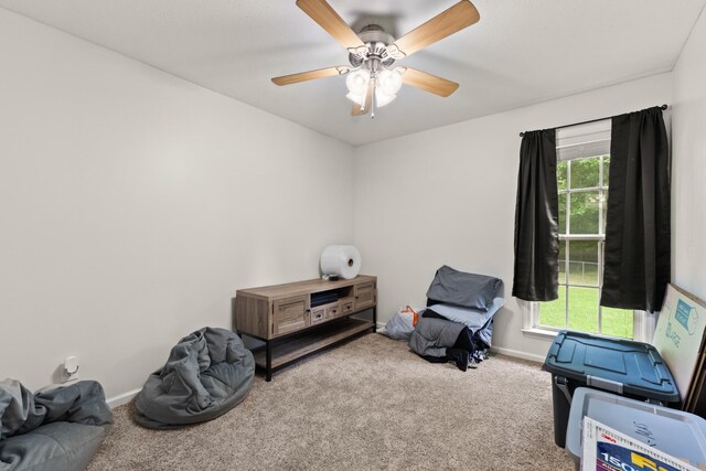 6 Timbers Edge Rd, Fayetteville, TN 37334 - photo 22