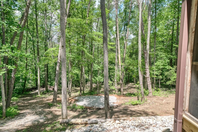 3269 Moodyville Rd, Byrdstown, TN 38549 - view of local wilderness