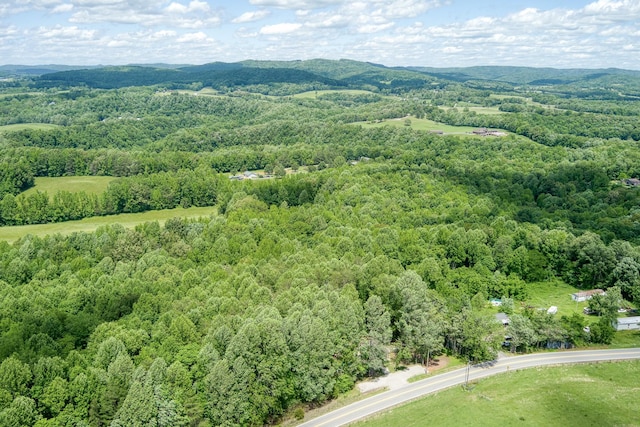 3269 Moodyville Rd, Byrdstown, TN 38549 - aerial view of a forest