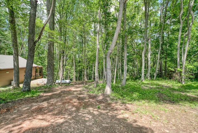 3269 Moodyville Rd, Byrdstown, TN 38549 - view of yard