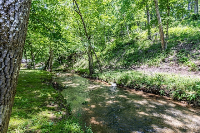 0 Fairway Cir, Loretto, TN 38469