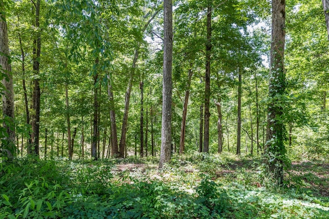 0 Fairway Cir, Loretto, TN 38469