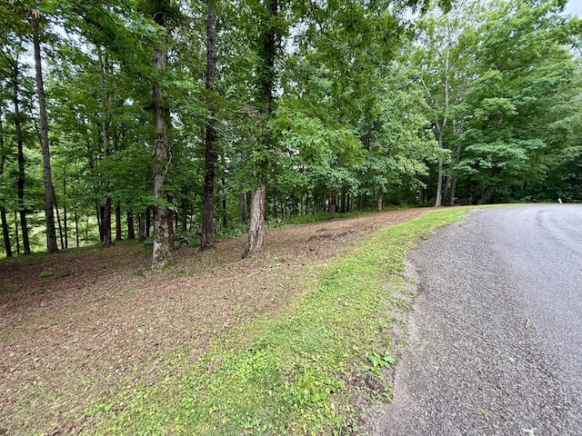 0 Fairway Cir, Loretto, TN 38469
