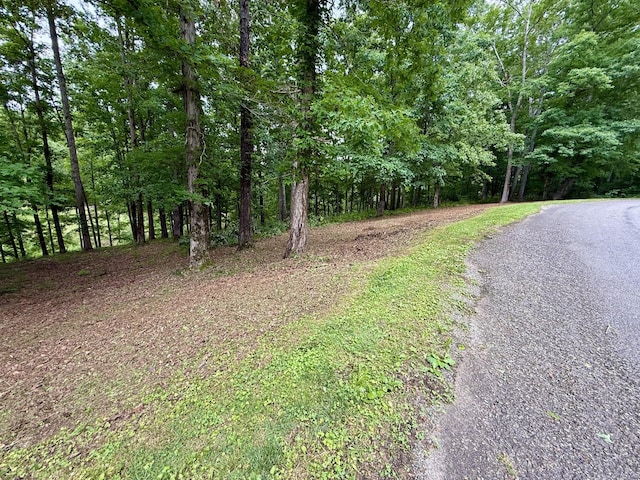 0 Fairway Cir, Loretto, TN 38469