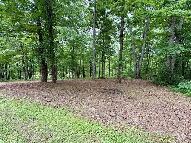 0 Fairway Cir, Loretto, TN 38469