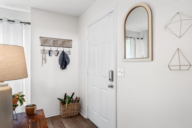 919 Rachels Pl, Hermitage, TN 37076 - mudroom with wood finished floors, baseboards, and arched walkways
