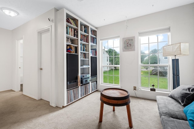 919 Rachels Pl, Hermitage, TN 37076 - sitting room featuring carpet floors and healthy amount of natural light