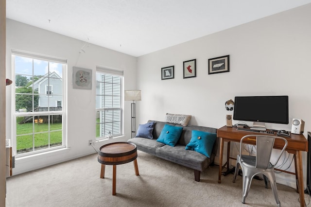 919 Rachels Pl, Hermitage, TN 37076 - office space with plenty of natural light and carpet