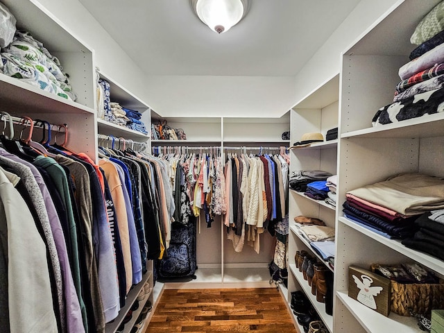 300 Woodson Dr, Tullahoma, TN 37388 - walk in closet with wood finished floors