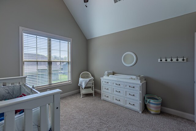 3580 Smith Brothers Ln, Clarksville, TN 37043 - photo 64