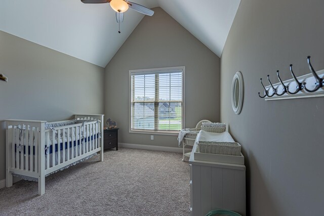3580 Smith Brothers Ln, Clarksville, TN 37043 - photo 62