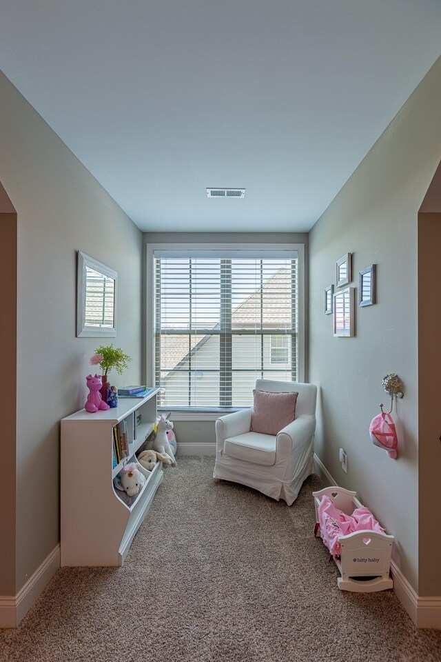3580 Smith Brothers Ln, Clarksville, TN 37043 - photo 70