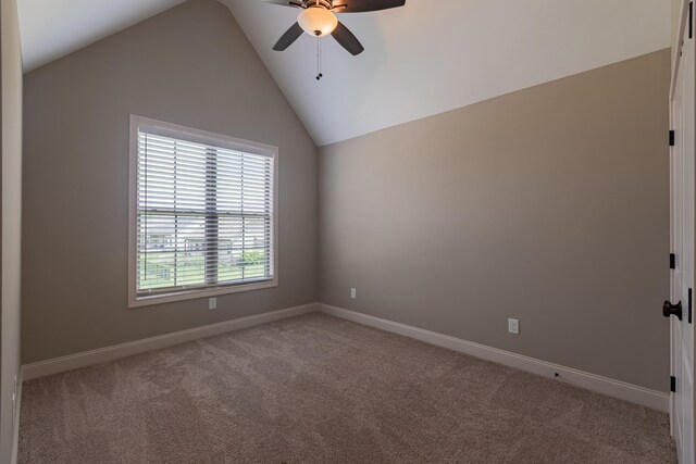 3580 Smith Brothers Ln, Clarksville, TN 37043 - photo 65