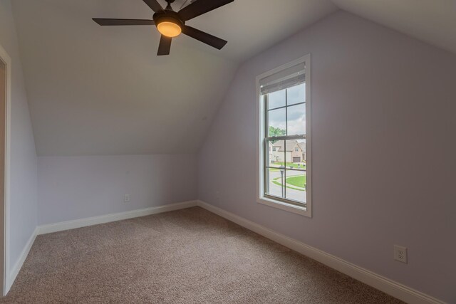 3580 Smith Brothers Ln, Clarksville, TN 37043 - photo 77