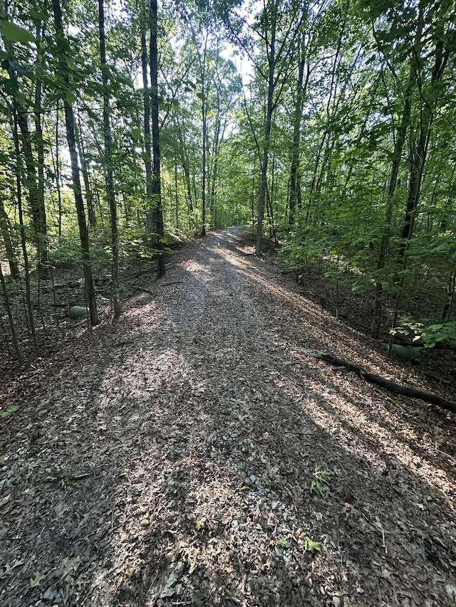 0 Laurel Lk, Monteagle, TN 37356