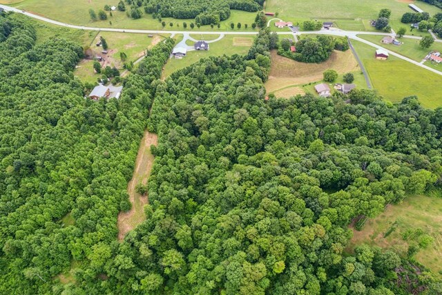 5810 Carthage Rd, Pleasant Shade, TN 37145 - photo 47