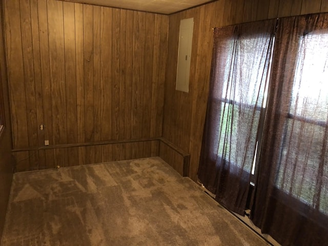 2026 Saundersville Ferry Rd, Mount Juliet, TN 37122 - carpeted spare room with wooden walls, plenty of natural light, and electric panel