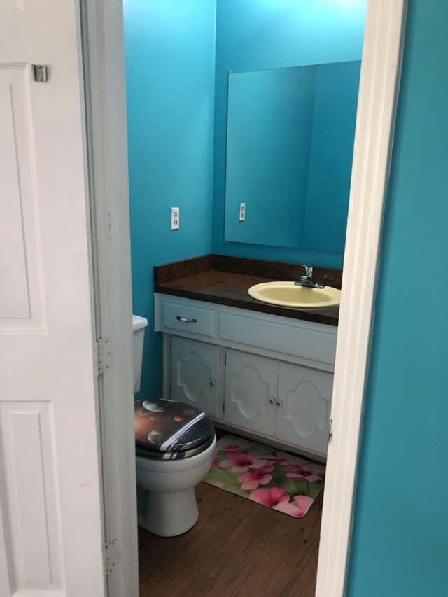 2026 Saundersville Ferry Rd, Mount Juliet, TN 37122 - bathroom with wood finished floors, vanity, and toilet