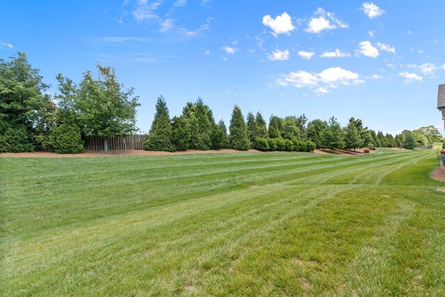 1763 Humphreys Gln, Spring Hill, TN 37174 - view of yard