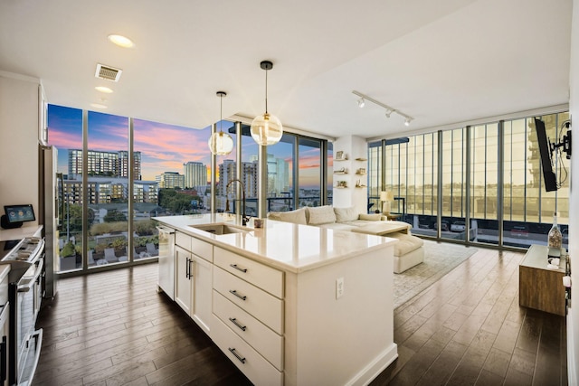 1212 Laurel St Unit 615, Nashville, TN 37203 - kitchen with floor to ceiling windows, a sink, appliances with stainless steel finishes, dark wood finished floors, and pendant lighting