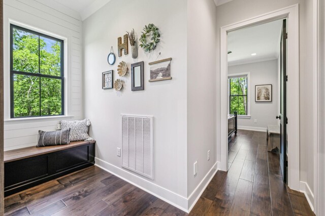 3166 Tanyard Hollow Rd, Culleoka, TN 38451 - hall with dark wood finished floors, baseboards, and ornamental molding