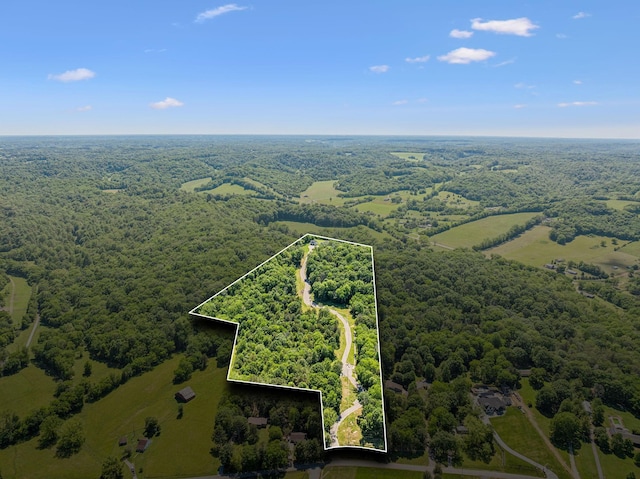 3166 Tanyard Hollow Rd, Culleoka, TN 38451 - aerial view of property and surrounding area with a heavily wooded area and property parcel outlined