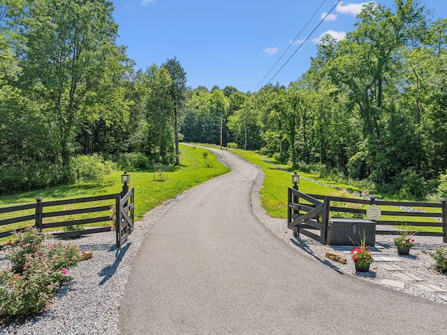 3166 Tanyard Hollow Rd, Culleoka, TN 38451 - view of asphalt road featuring a view of trees