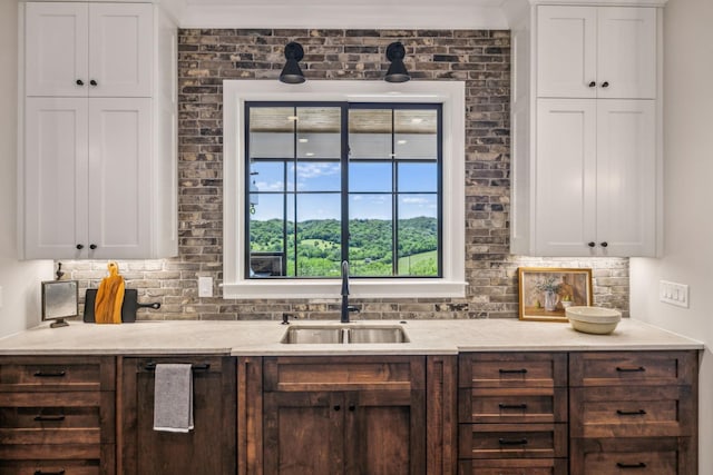 3166 Tanyard Hollow Rd, Culleoka, TN 38451 - kitchen featuring a sink, backsplash, white cabinetry, and dark brown cabinets