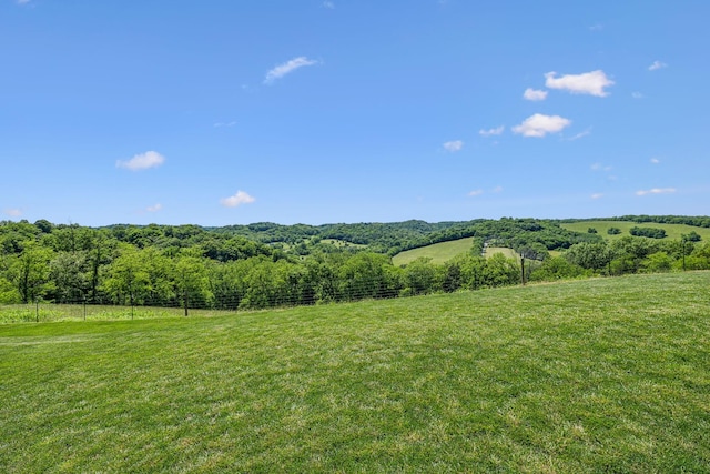 3166 Tanyard Hollow Rd, Culleoka, TN 38451 - view of yard with a rural view