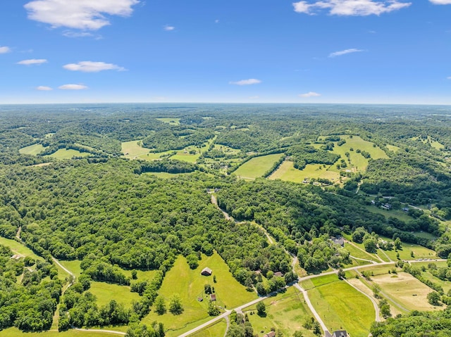 3166 Tanyard Hollow Rd, Culleoka, TN 38451 - aerial view of a heavily wooded area