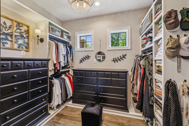 3166 Tanyard Hollow Rd, Culleoka, TN 38451 - spacious closet with a chandelier and wood finished floors