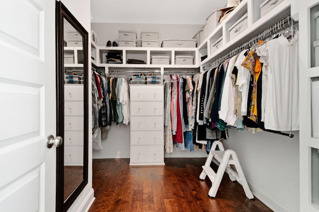 3227 Vinemont Dr, Thompsons Station, TN 37179 - spacious closet with wood finished floors