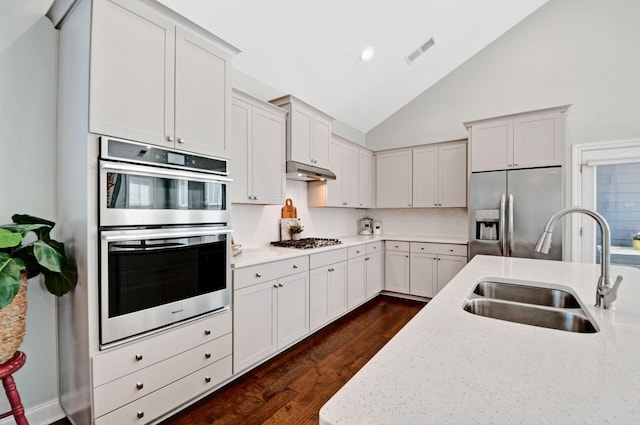 3227 Vinemont Dr, Thompsons Station, TN 37179 - kitchen with stainless steel appliances, a sink, under cabinet range hood, dark wood-type flooring, and light stone countertops