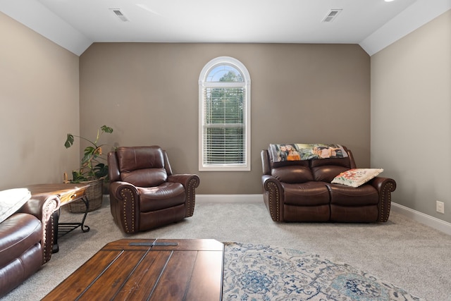 6288 Blacksmith Dr, Pleasant View, TN 37146 - living room featuring vaulted ceiling, carpet floors, and baseboards