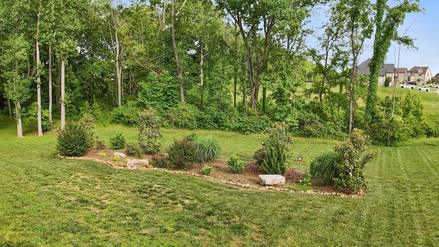 6288 Blacksmith Dr, Pleasant View, TN 37146 - view of grassy yard