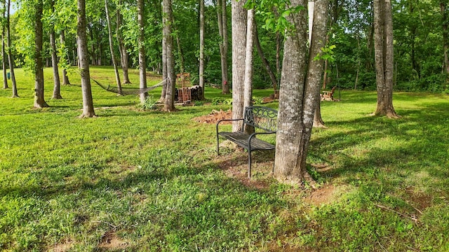 6288 Blacksmith Dr, Pleasant View, TN 37146 - surrounding community featuring a yard