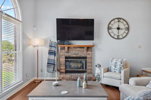 530 David Ave, Lewisburg, TN 37091 - living room with dark wood finished floors, a fireplace, and baseboards