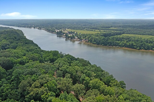 645 Attaway Ln, Bath Springs, TN 38311 - drone / aerial view of a heavily wooded area and a large body of water
