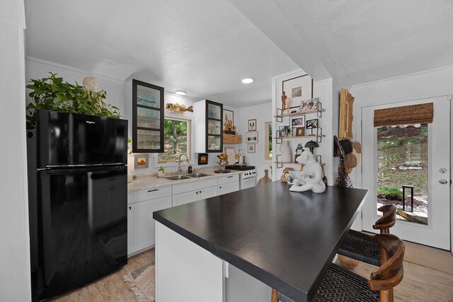 645 Attaway Ln, Bath Springs, TN 38311 - kitchen featuring freestanding refrigerator, a sink, light wood finished floors, glass insert cabinets, and white cabinetry