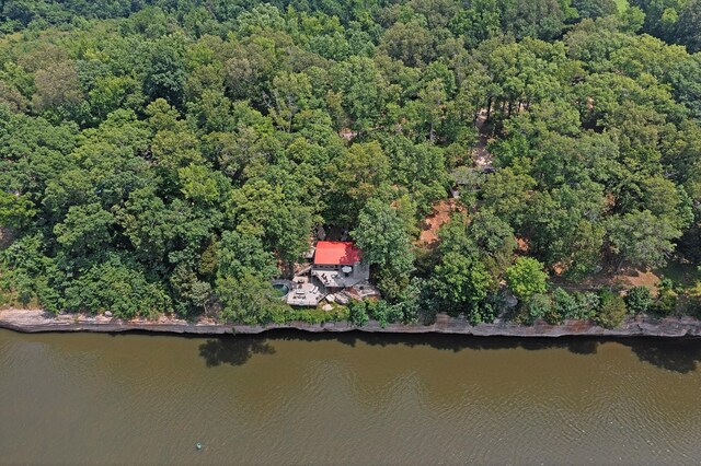 645 Attaway Ln, Bath Springs, TN 38311 - view of property location featuring a large body of water and a heavily wooded area