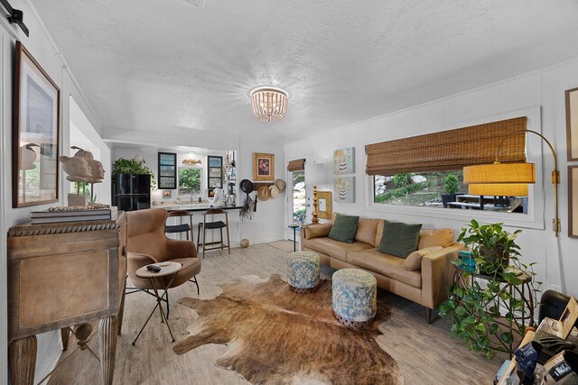 645 Attaway Ln, Bath Springs, TN 38311 - living room with a chandelier, wood finished floors, and a textured ceiling