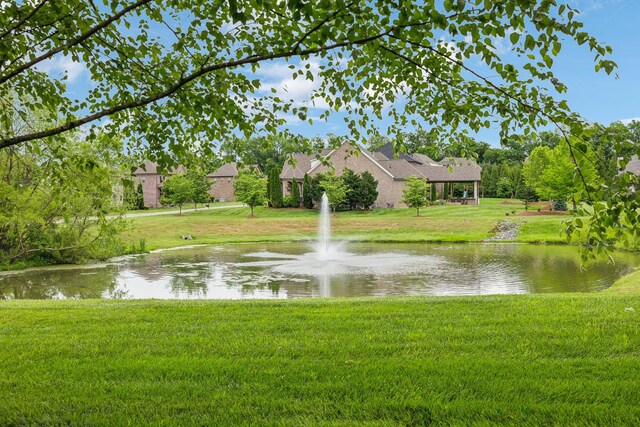 4083 Kings Camp Pass, Arrington, TN 37014 - water view