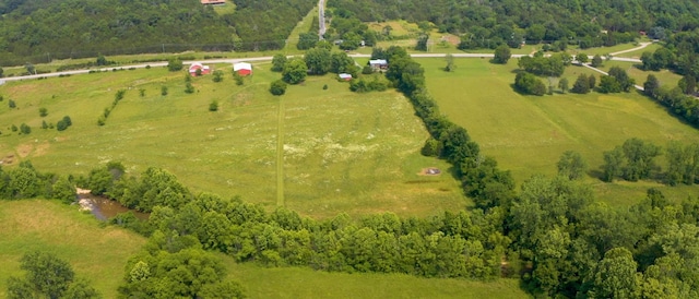 3460 Bradyville Rd, Readyville, TN 37149 - photo 24