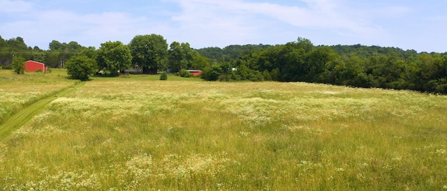 3460 Bradyville Rd, Readyville, TN 37149 - photo 29